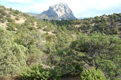Гора Сокол. Вид со стороны горы Караул-Оба